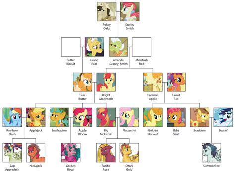 my little pony applejack parents|mlp applejack family tree.